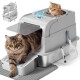 Grau überdachte Katzentoilette mit Einstieg von oben und Stufe, zwei Katzen (eine oben im Inneren, eine geht vorne hinaus), Schaufel und Matte.