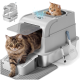 Grau überdachte Katzentoilette mit Einstieg von oben und Stufe, zwei Katzen (eine oben im Inneren, eine geht vorne hinaus), Schaufel und Matte.