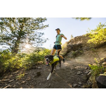 Eine Person in einem hellgrünen Shirt und schwarzen Shorts läuft auf einem Schotterweg mit einem Hund, der ein leuchtend gelbes Geschirr trägt.