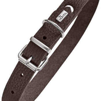Brauner Lederhundehalsband mit silberner Metallschnalle und Verstellringen, mit einem kleinen "HUNTER"-Logo-Anhänger.