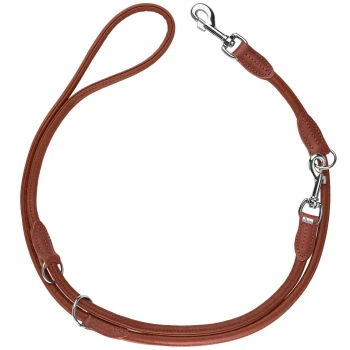 Braune Leder-Hundeleine mit silbernen Metallclips und Ringen, mit einem gepolsterten Griff für Komfort.