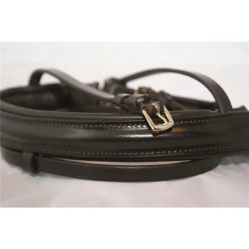 Eine Nahaufnahme einer dunkelbraunen Leder-Hundeleine mit glänzender Oberfläche und einer goldenen Schnalle, auf einem weißen Hintergrund aufgewickelt.