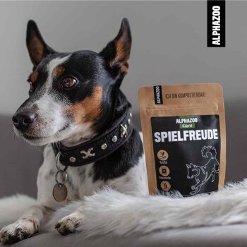 Ein schwarz-weißer Hund mit einem Nietenhalsband sitzt neben einem Sack ALPHAZOO Care Spielfreude, der eine verspielte Hundegrafik hat.