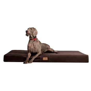 ® HUGO Ortho Plus Orthopädische Hundematratze braun 1,5 m, 13 cm, 1 m
