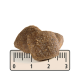 Zwei Stücke Tierfutter-Kibble auf einem Lineal, das ungefähr 5 cm lang ist und eine braune, strukturierte Oberfläche zeigt.