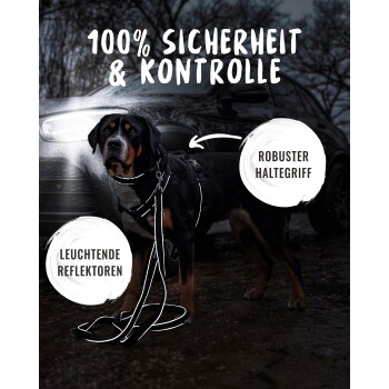 Ein Rottweiler in einem Geschirr steht nachts neben einem Auto, mit dem Text: "100% Sicherheit & Kontrolle," "Robuster Haltegriff," "Leuchtende Reflektoren."