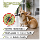 Flasche REAVET Ohrmilben Öl Plus für Haustiere, mit einem Corgi auf dem Etikett, mit Vorteilen, die auf Deutsch aufgelistet sind, einschließlich effektiver Behandlung von Ohrmilben.