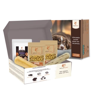 Offene Wildfang-Tierbox mit Hundeleckerlis, Kauartikeln und Verpackung mit ruhendem Hund und deutschem Text.