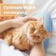 orangefarbene Langhaarkatze in den Armen einer Person, Nahaufnahme; eingeblendeter Text: Optimale Wundversorgung.