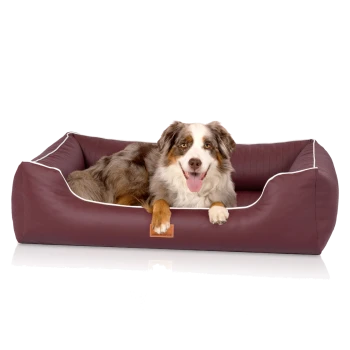 Ein glücklicher Australian Shepherd Hund, der in einem burgunderfarbenen Haustierbett mit weißem Rand entspannt, mit einem Holzschild, das 'KNUDDELWUFF' beschriftet ist.