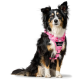 Ein Hund trägt ein pinkes Camouflage-Geschirr, auf dem der Markenname 'HUNTER' deutlich auf der Vorderseite angezeigt wird.