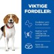 Een beagle naast een blauwe achtergrond somt de voordelen van hondensnoepjes op: "Geliefd door honden," "Ondersteunt gewichtsverlies," en "Knapperig en smakelijk."