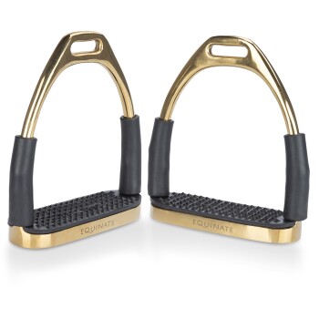 Goldene und schwarze Pferdereitsteigbügel mit strukturierten Gummifußbetten, mit dem Markennamen "EQUINATE" an der Seite eingraviert.