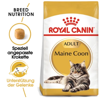 Royal Canin Adult Maine Coon Katzenfutterbeutel mit einem Bild einer Maine Coon Katze, mit Text, der die Ernährungsbedürfnisse der Rasse und die Unterstützung der Gelenke hervorhebt.