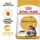 Maine Coon Adult 400 g