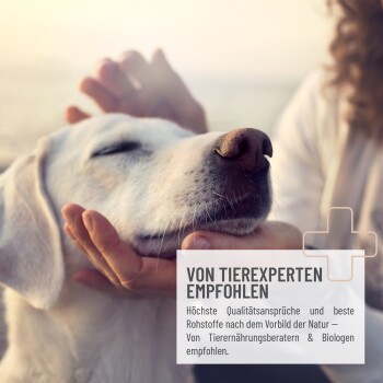Eine Person streichelt einen entspannten weißen Hund, mit deutschem Textüberlagerung "VON TIEREXPERTEN EMPFOHLEN" über qualitativ hochwertige natürliche Zutaten.