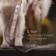 Hundehalsband & Hundeleine im Set - 2m Führleine, 3-fach verstellbar - Classic Kollektion M-XL
