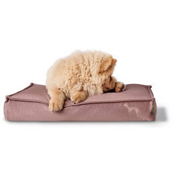 Ein flauschiger Chow-Chow-Welpe, der auf einem weichen, rosa Hundebett ruht, mit einer subtilen Hundesilhouette, die an die Seite gestickt ist.