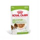 Royal Canin X-Small Adult Hundefutterbeutel, 85g, mit Stückchen in Soße, geeignet für Hunde über 10 Monate, fördert ein gesundes Immunsystem.