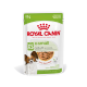 Royal Canin X-Small Adult Hundefutterbeutel, 85g, mit Stückchen in Soße, geeignet für Hunde über 10 Monate, fördert ein gesundes Immunsystem.