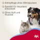 Hund und Katze mit deutschem Text über Zahnpflege für Haustiere ohne Bürsten, entwickelt für Tiere, frei von Xylit und Fluorid.