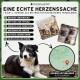 Pfotenwunder „EINE ECHTE HERZENSSACHE“ – schwarz-weißer Rettungshund, Fotos eingesperrter Hunde, Rumänien-Kartenpin; „1 KAUF = 1 SPENDE“.