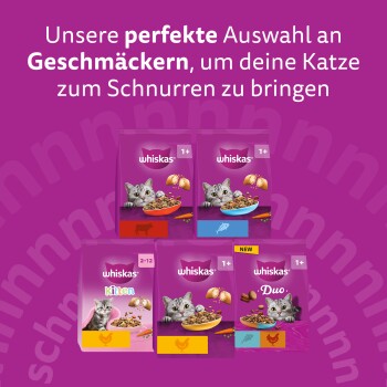 Lila Whiskas-Werbung mit sechs Katzenfutterbeuteln mit Katzen und Näpfen; deutsche Überschrift 'Unsere perfekte Auswahl'
