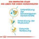 Ein perfekter Start ins Leben für Ihren Hundewelpen: Unterstützung der körpereigenen Abwehrkräfte, Entwicklung der Muskulatur, gesunde Verdauung.