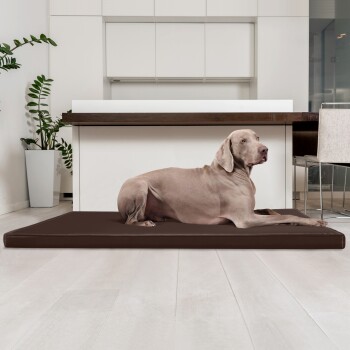 Ein großer grauer Hund liegt auf einem braunen Haustierbett in einer modernen Küche mit weißen Schränken und einer Topfpflanze im Hintergrund.