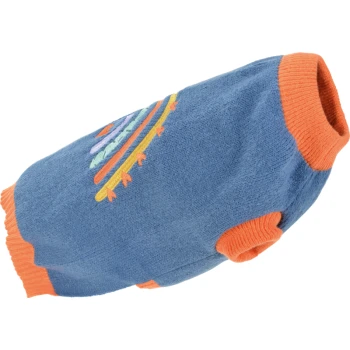 Pull pour chien bleu avec des poignets orange, présentant des designs colorés brodés de fleurs et de lignes.