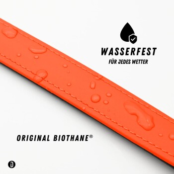 Nahaufnahme eines schwarzen Hundehalsbands mit einer strukturierten Oberfläche und einem leuchtend orangefarbenen Innenfutter, das sein stilvolles Design zeigt.