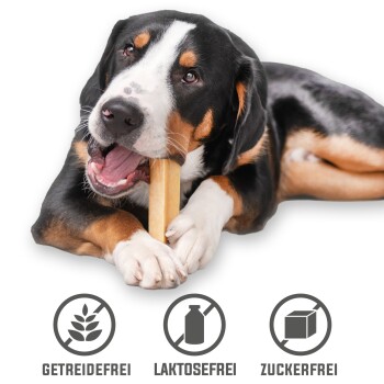 Larsson Yaky Kaukäse S 3er Set +Snack