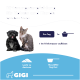 GIGI Dental Care Pulver für Hunde und Katzen, unterstützt normale Mundschleimhaut, verhindert Zahnstein, tierärztlich entwickelt, wiederverschließbarer Deckel, Premiumqualität seit 2006.