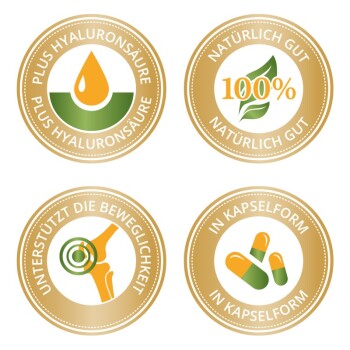 Vier Icons, die die Eigenschaften von Haustierergänzungen zeigen: Hyaluronsäure, 100% Natürlich Gut, Unterstützt Mobilität und in Kapsel-Form.