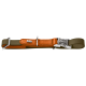 Olivgrünes Hundehalsband mit brauner Lederpolsterung und silberner Metallschnalle mit der Gravur HUNTER
