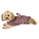 Ein kleiner Hund, eingewickelt in ein weiches, mauvefarbenes Handtuch mit Bindeschluss, liegt auf der Seite vor einem weißen Hintergrund.