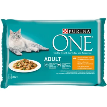 Verpackung von Purina ONE Adult Katzenfutter mit einer grauen Katze, einer Schüssel mit Nassfutter und Text, der 'Sichtbare Gesundheit für heute und morgen' hervorhebt.