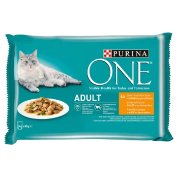 Verpackung von Purina ONE Adult Katzenfutter mit einer grauen Katze, einer Schüssel mit Nassfutter und Text, der 'Sichtbare Gesundheit für heute und morgen' hervorhebt.