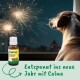Ein Hund beobachtet Feuerwerk von einem Fenster aus, mit einer "Calma" Beruhigungslösung im Vordergrund. Text: "Entspannt ins neue Jahr mit Calma."
