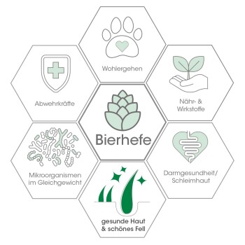 Infografik mit Hexagonen, die die gesundheitlichen Vorteile von Hefe für Haustiere veranschaulicht: Immununterstützung, Nährstoffe, Darmgesundheit und gesunde Haut.