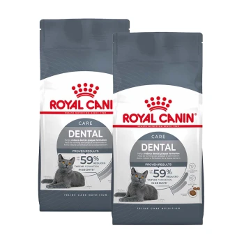 Zwei Beutel Royal Canin Dental Katzenfutter mit einer grauen Katze auf der Vorderseite, die reduzierte Zahnbeläge und Zahnstein in 28 Tagen bewirbt.