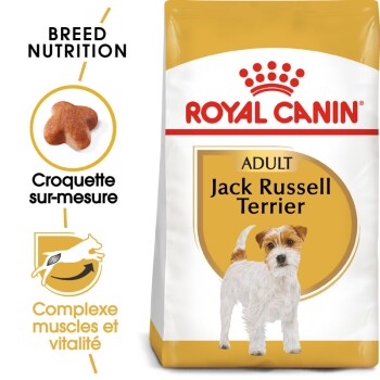 Jack Russell Terrier Adulte Croquettes Chien 3 kg