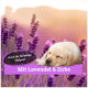 Ein weichgezeichnetes Bild von Lavendelblüten mit einem schlafenden Welpen. Text: "Mit Lavendel & Zirbe" und "Auch für hibbelige Welpen!"