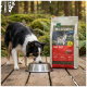 Border Collie frisst aus einer Stahlschüssel neben einem Beutel Wilderness Pure Beef Erwachsenen-Hundefutter auf einer Holzterrasse.