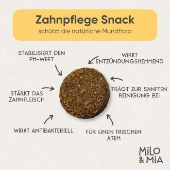Tägliche Zahnpflege für Haustiere mit einem runden Kauknochen aus Ingwer, Kurkuma, Pfefferminze und Karottenpulver. Marke: Milo & Mia.