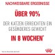 Bild zur Bewerbung eines Katzenfutterprodukts, das besagt "Über 90% der Katzen erreichten ein gesünderes Gewicht in 8 Wochen*" in fettem roten und grauen Text.