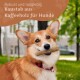 Corgi mit einem Kauknochen im Mund, vor grünem Gras und Bäumen. Text: "Robust und langlebig Kaustab aus Kaffeeholz für Hunde."