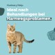 Eine getigerte Katze steht vor einem hellblauen Hintergrund, mit dem Text "Hurinariy Help Ideal nach Behandlungen bei Harnwegsproblemen."