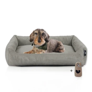 Ein gemütliches graues Haustierbett mit einem Dackel, der ein grünes Halstuch trägt und bequem darin ruht, begleitet von einem kleinen herzförmigen Anhänger.