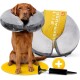 Tierhood aufblasbare Halskrause M